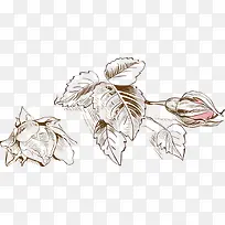 水彩清新手绘装饰花卉