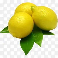 夏日饮品水果柠檬