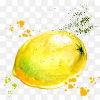 矢量水彩柠檬