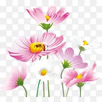 春天清新手绘白粉色花朵