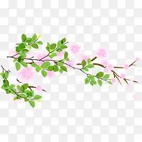 粉色唯美花朵树叶春天