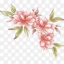 粉色手绘淡雅花朵植物