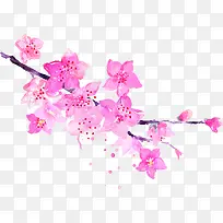粉色美景水彩花朵