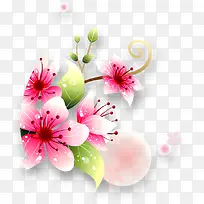 38妇女节清新粉色花朵