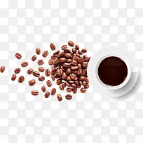矢量咖啡杯咖啡豆