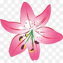 粉色节日手绘花朵设计