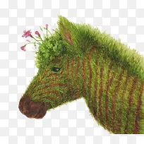 绿色植物马