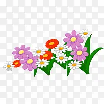 小花小草