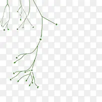 绿色线条伸展藤蔓花枝