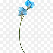 蓝色花朵png素材