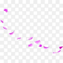 唯美紫色花瓣漂浮