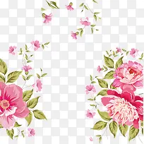 玫瑰背景玫瑰花海素材