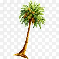 植物绿色沙滩椰子树海边