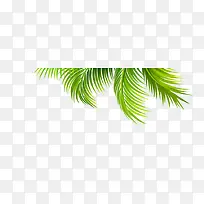 创意海边绿色的棕榈树