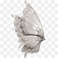 蝴蝶png素材