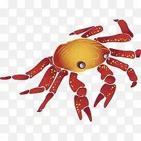 夏日蝎子设计海边沙滩