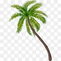 沙滩椰子树图案