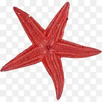 高清摄影红色沙滩海边星星
