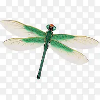 绿色清新蜻蜓昆虫风筝