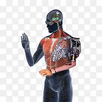 人体机械