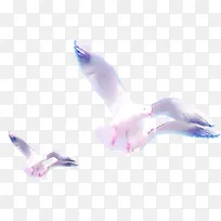 白色和平鸽飞翔效果图