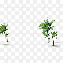 高清摄影沙滩椰汁树