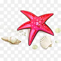 卡通手绘沙滩海星贝壳