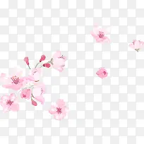 粉色水彩花朵教师节