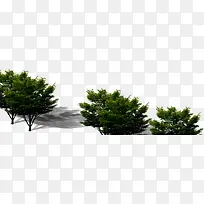 松树设计美景楼盘