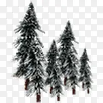 冬季白雪松树淘宝促销