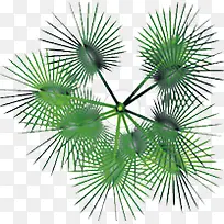 松树清新植物创意