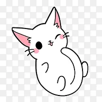 猫咪