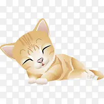酣睡的猫咪
