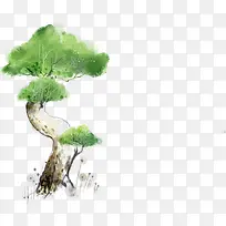 绘画绿色水彩松树