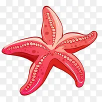 红色海星