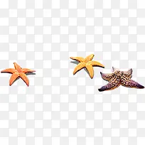 海星素材免抠