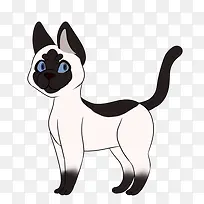 可爱的暹罗猫