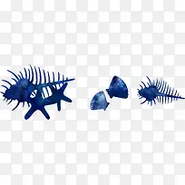 深蓝色海星贝壳