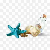 高清摄影蓝色海星贝壳漂流瓶