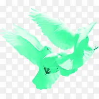 绿色飞翔鸽子创意