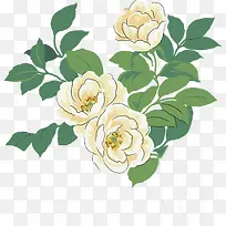手绘白色花卉生日卡片