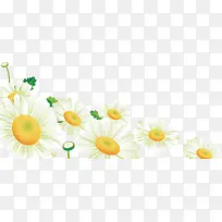 菊花矢量图