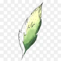 素描绿色叶子