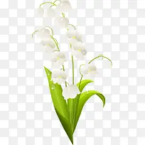 手绘白色清新小花植物