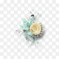 白色的花