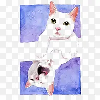 水彩猫咪