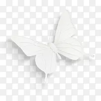 手绘白色卡通蝴蝶