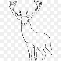 手绘的简单手绘的鹿
