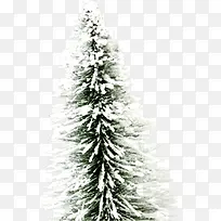冬日白雪大树圣诞