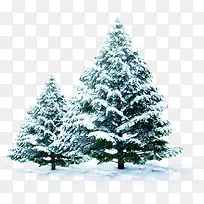 白色冬日大树雪景